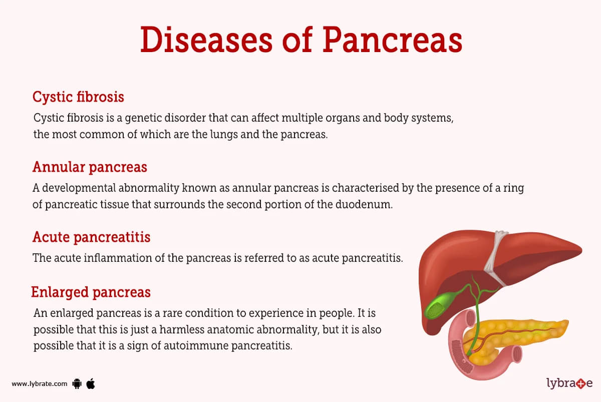 pancreas function in diabetes