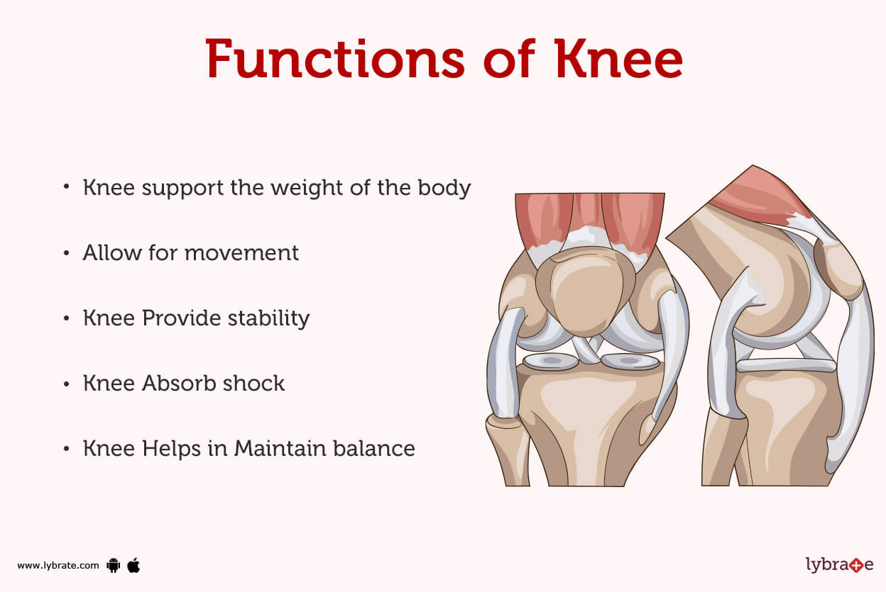 What is normal functioning knee?