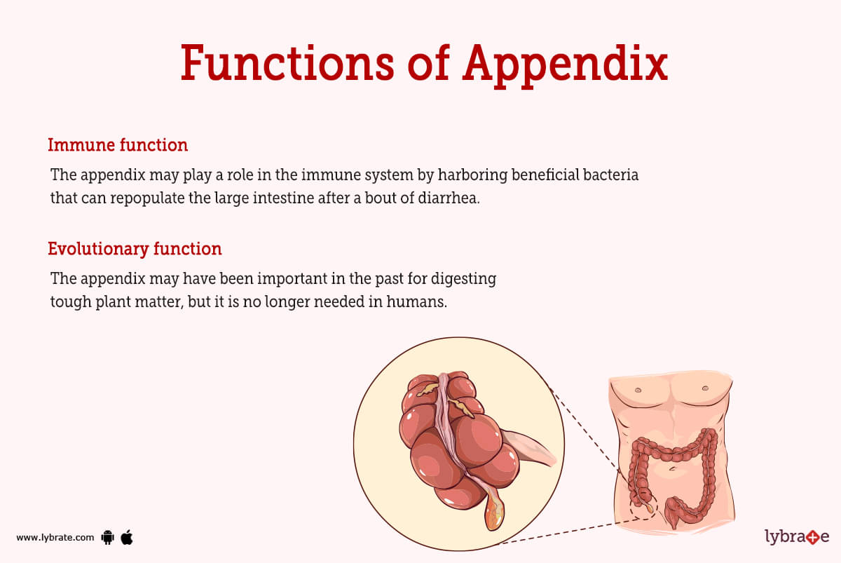 how to make an appendix