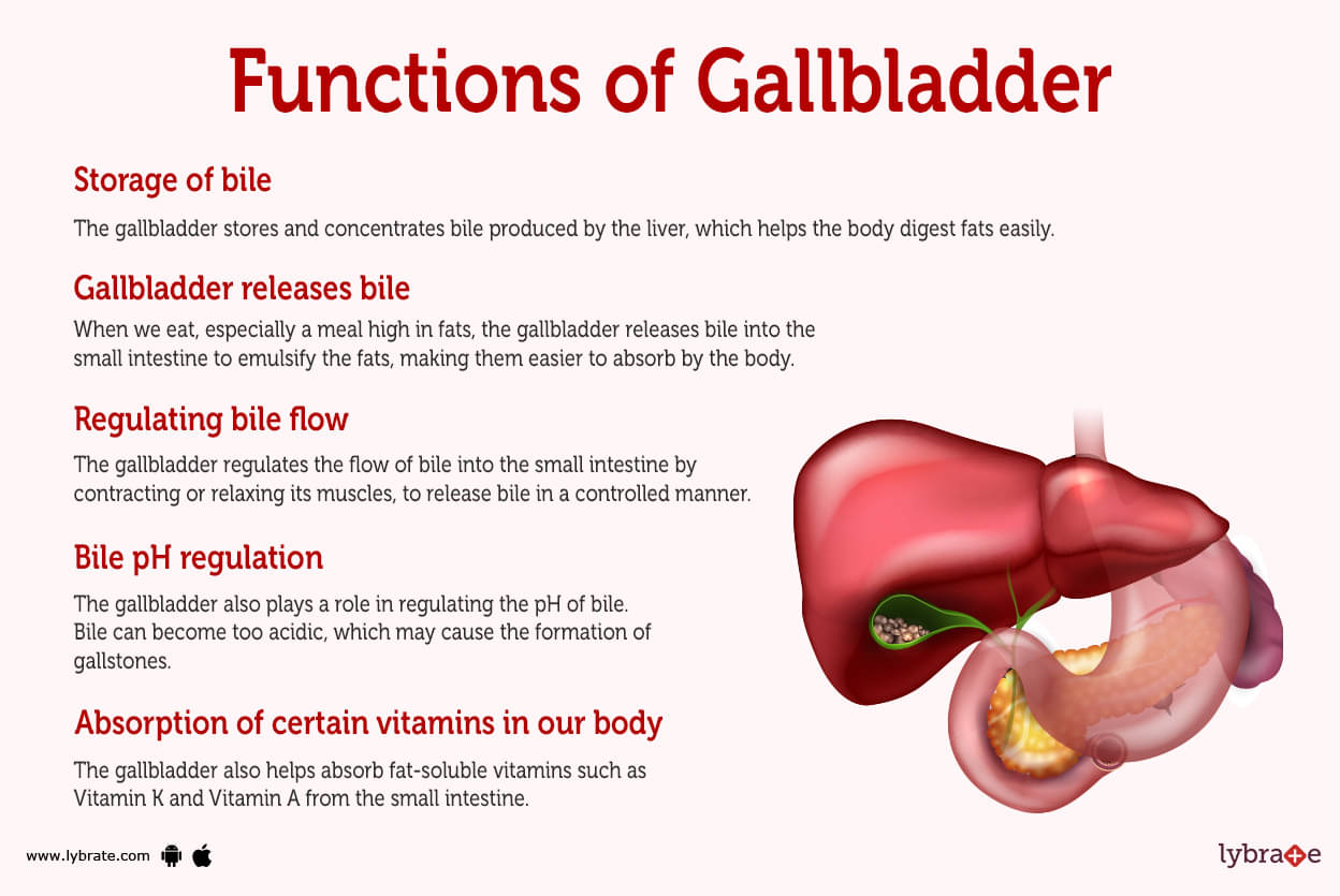 Gallbladder Location In Human Body