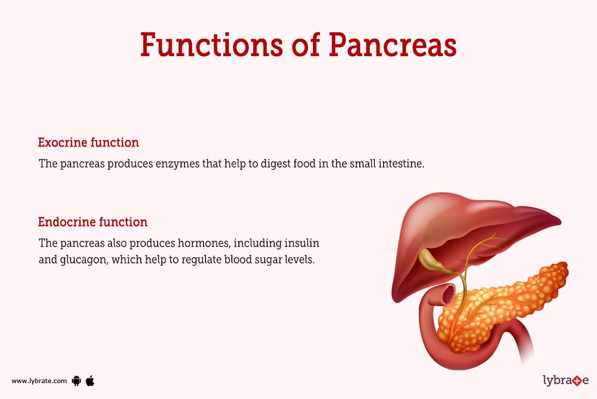 pancreas endocrine function