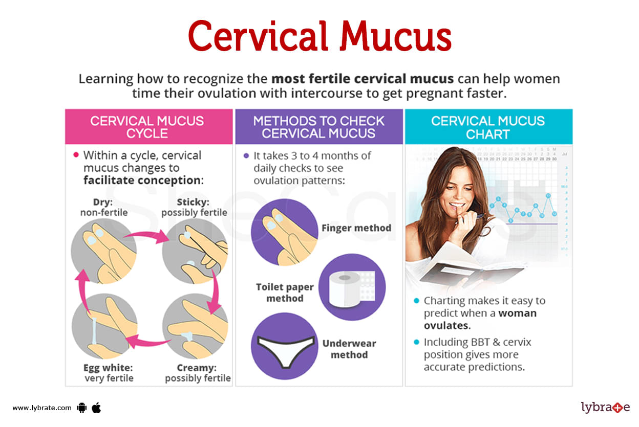 👩‍⚕️You might have noticed that your cervical mucus changes throughou
