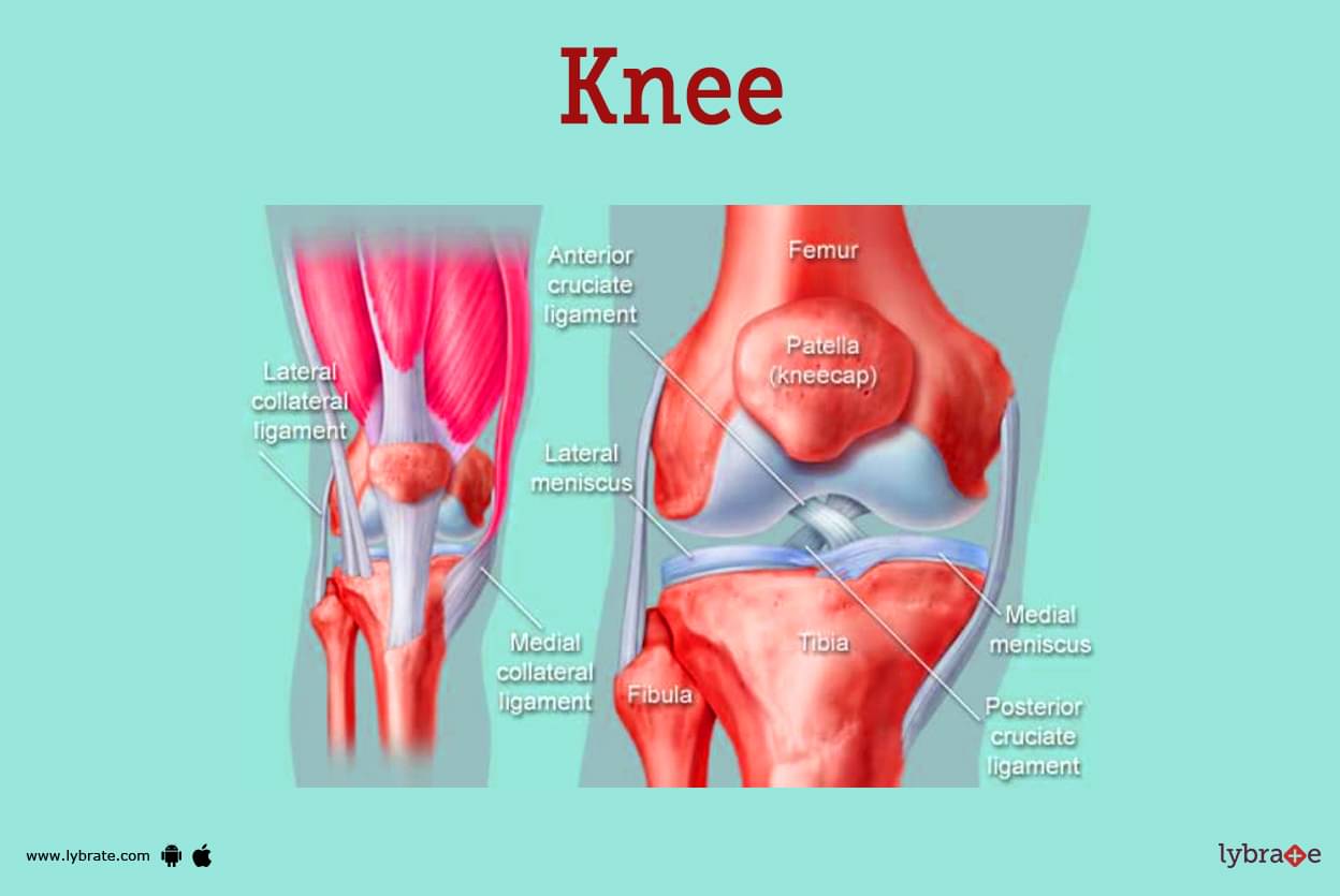 Physical Therapy in Baker County for Knee Pain - Patellar Tendonitis