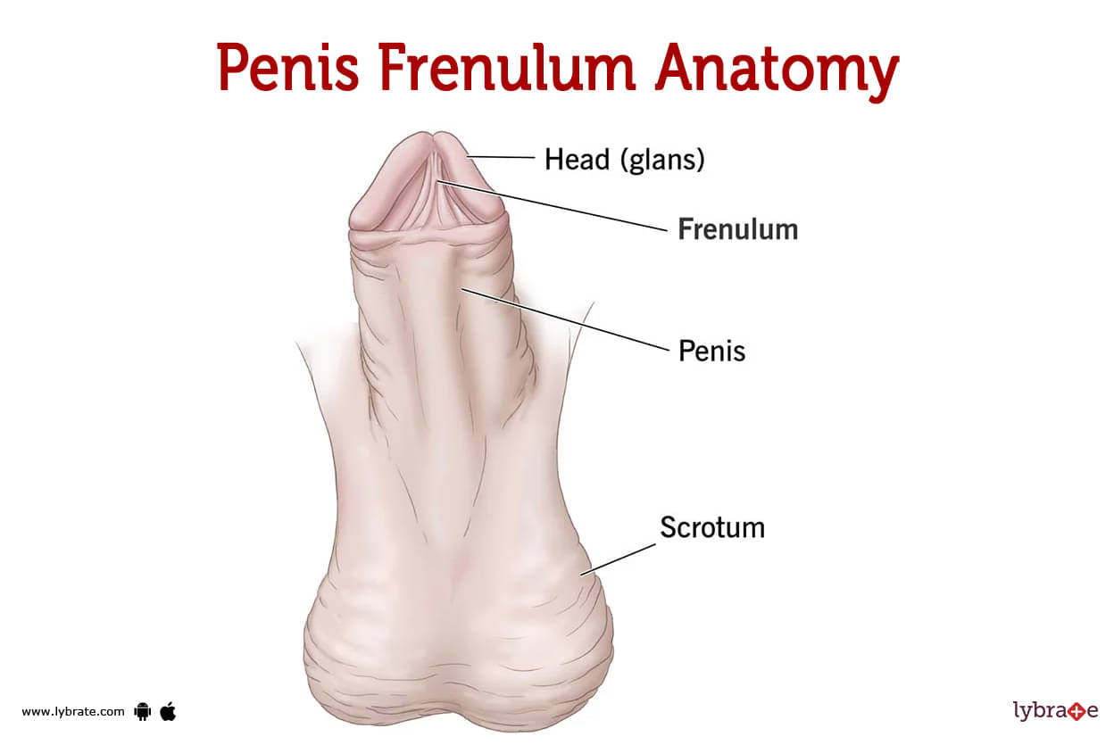 Frenulum stimulation