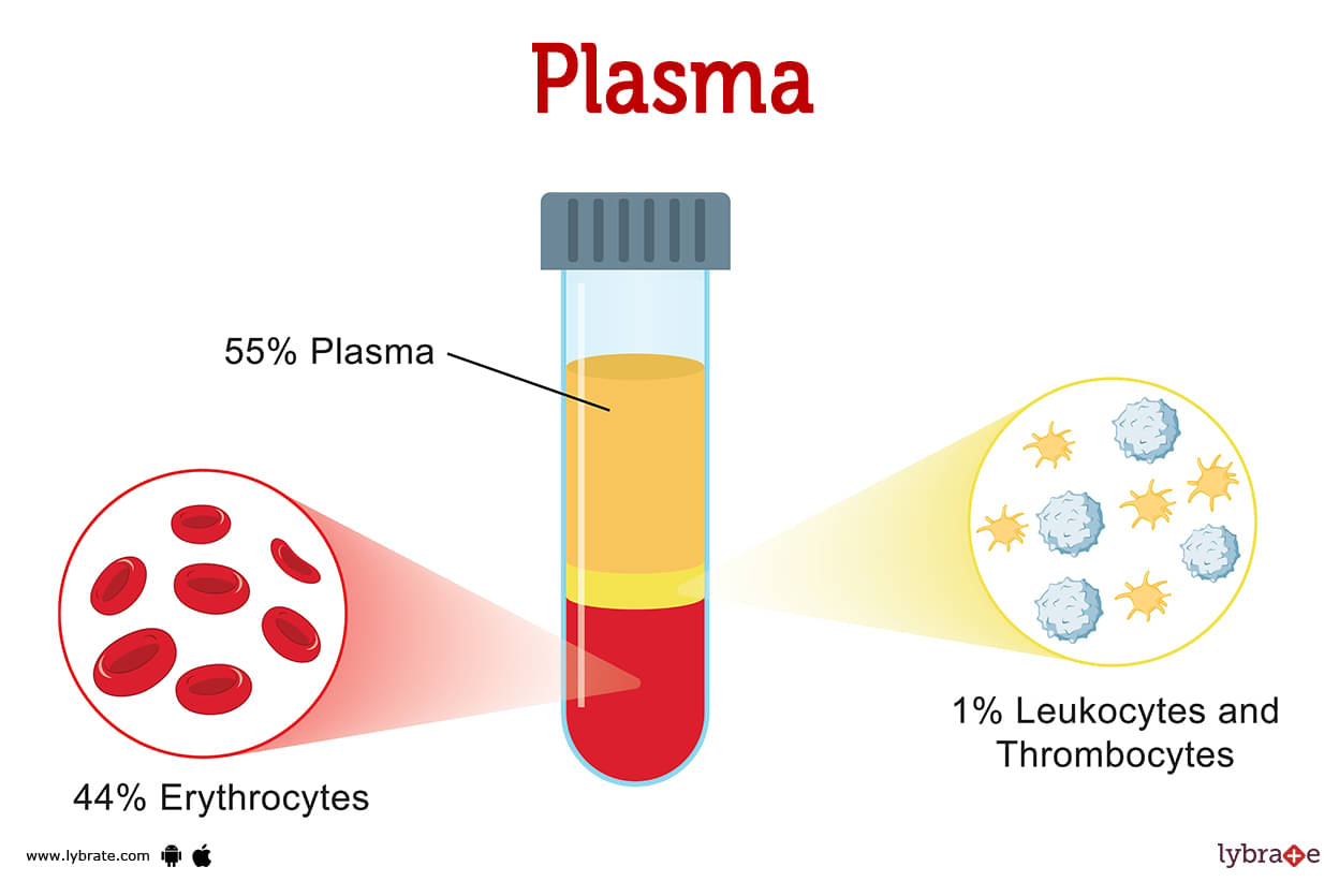 Plasma (Human Anatomy): Picture , Functions, Diseases and Treatments