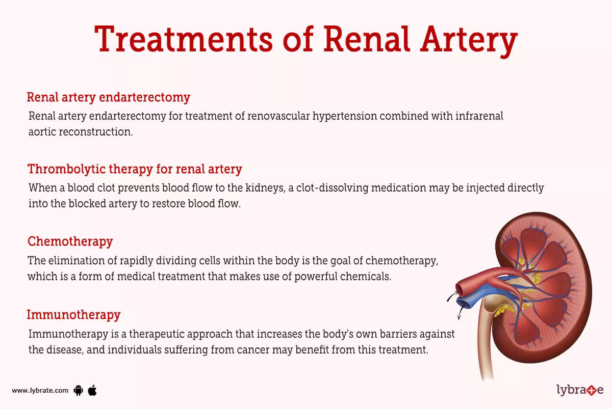 Renal Artery (Human Anatomy): Image, Functions, Diseases and Treatments