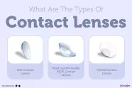 Advantages Of Various Types Of Contact There Are Types Of 50 OFF