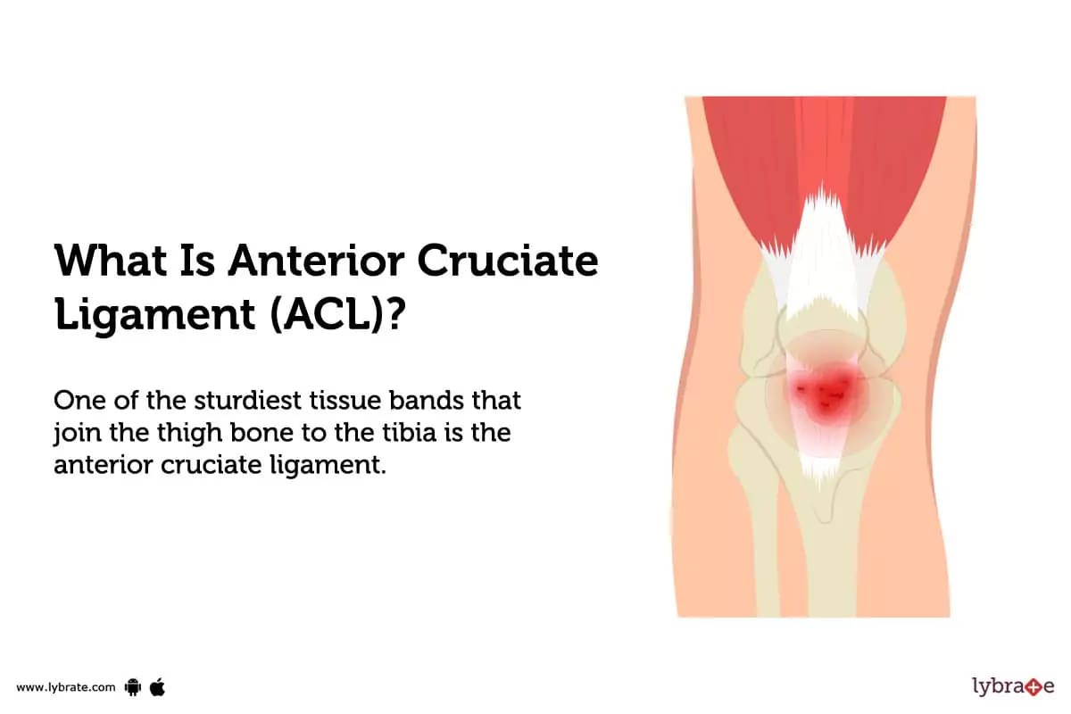 Stretches To Prevent An Anterior Cruciate Ligament Injury - Health