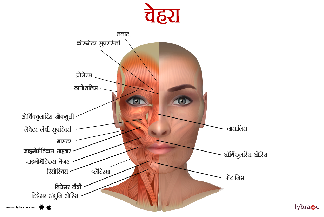 चेहरे का चित्र | Face Ki Image