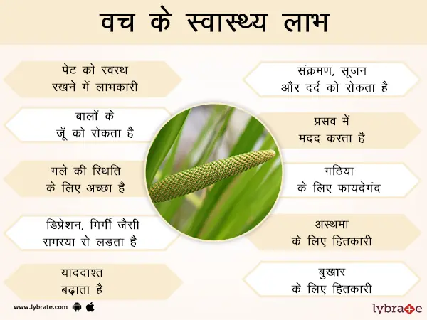 वच के स्वास्थ्य लाभ