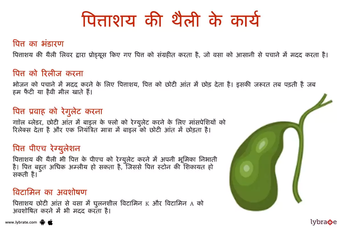 गॉलब्लेडर के कार्य | Gallbladder Ke Kaam
