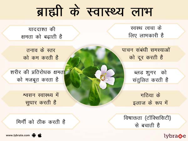 ब्राह्मी के स्वास्थ्य लाभ