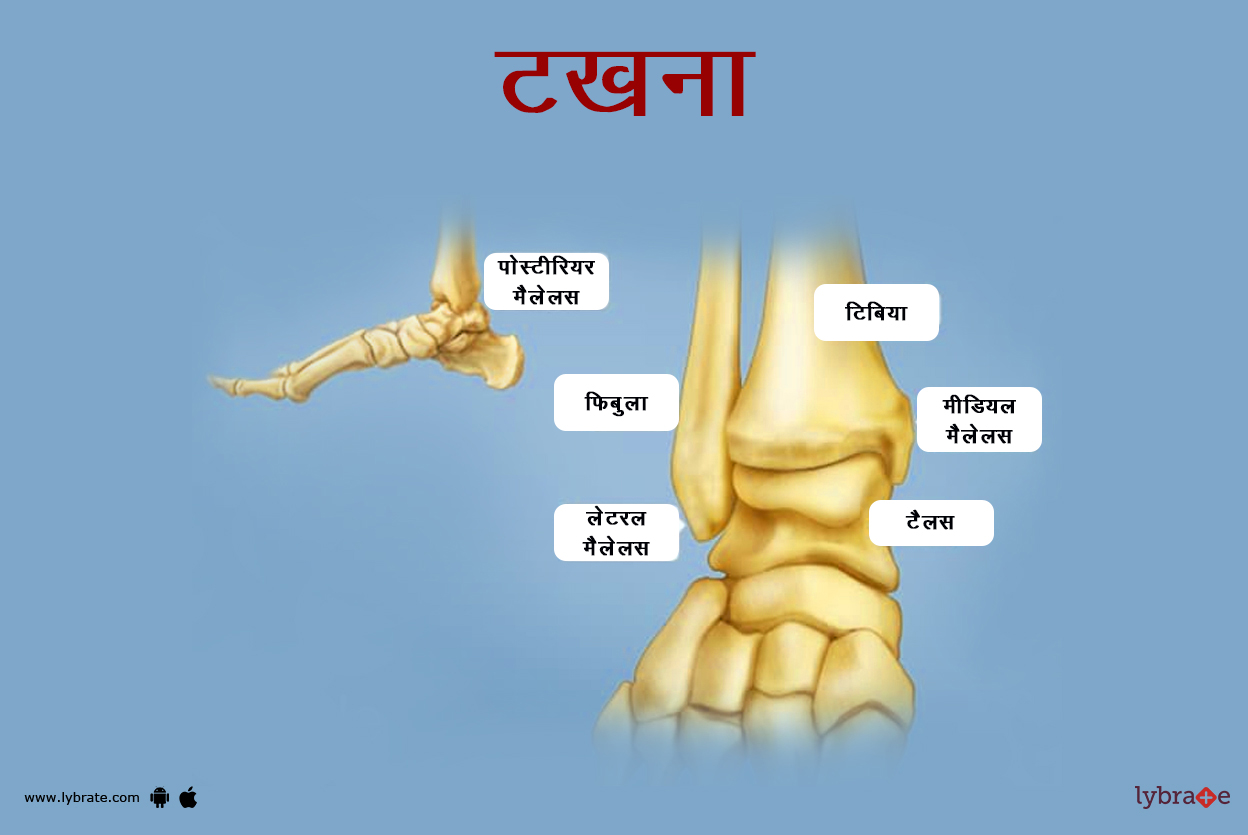 टखने का चित्र | Ankle Ki Image