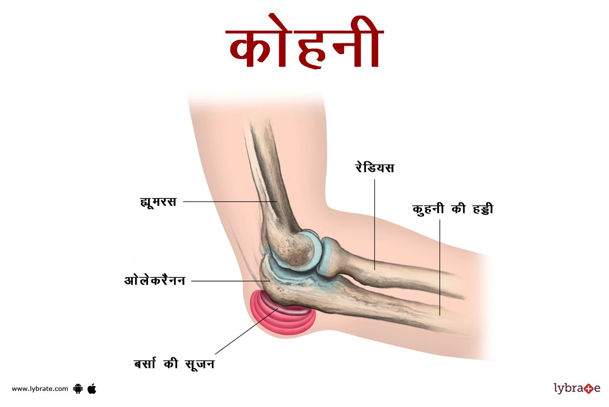 कोहनी का चित्र | Elbow Ki Image