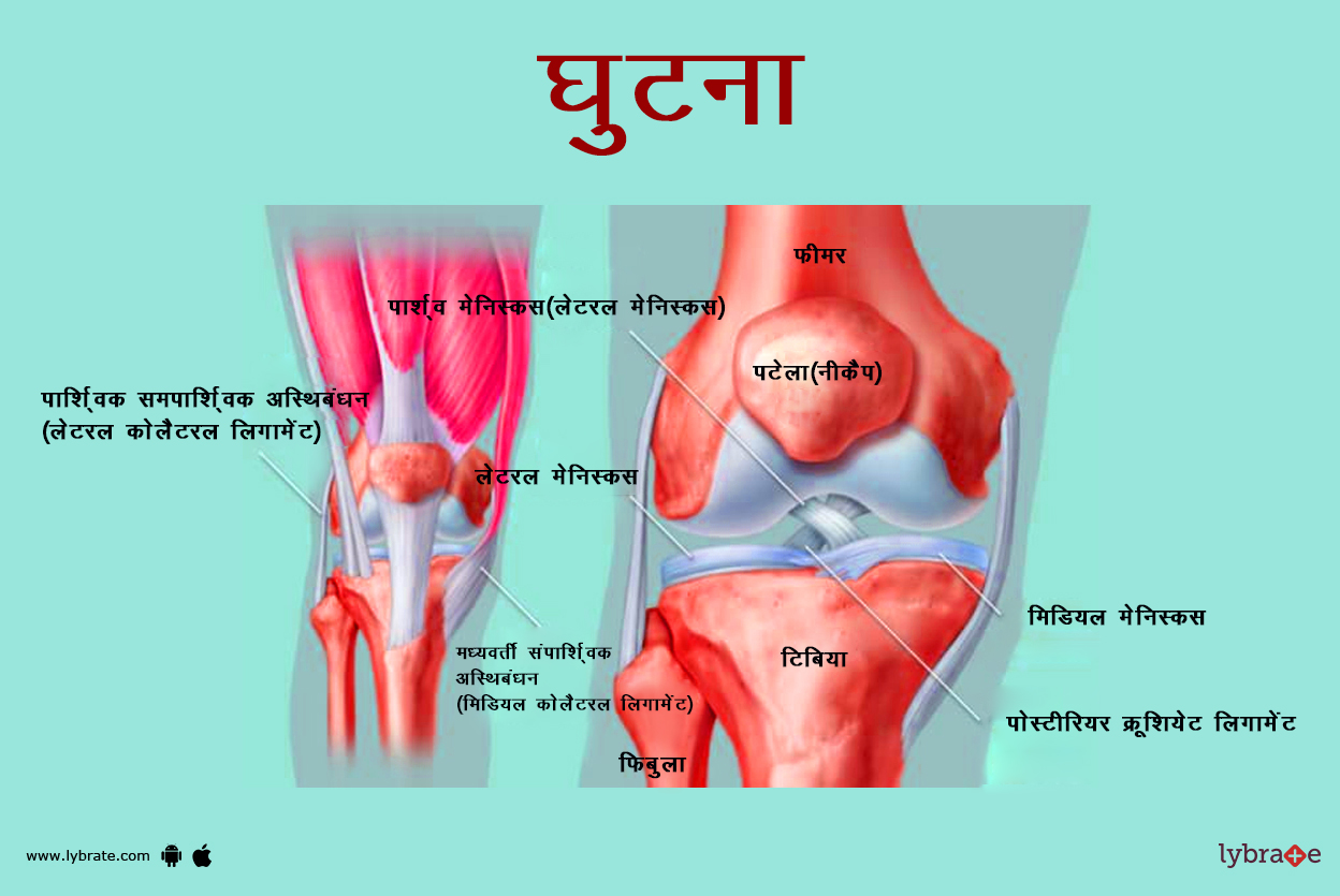 घुटनों का चित्र | Knee Ki Image