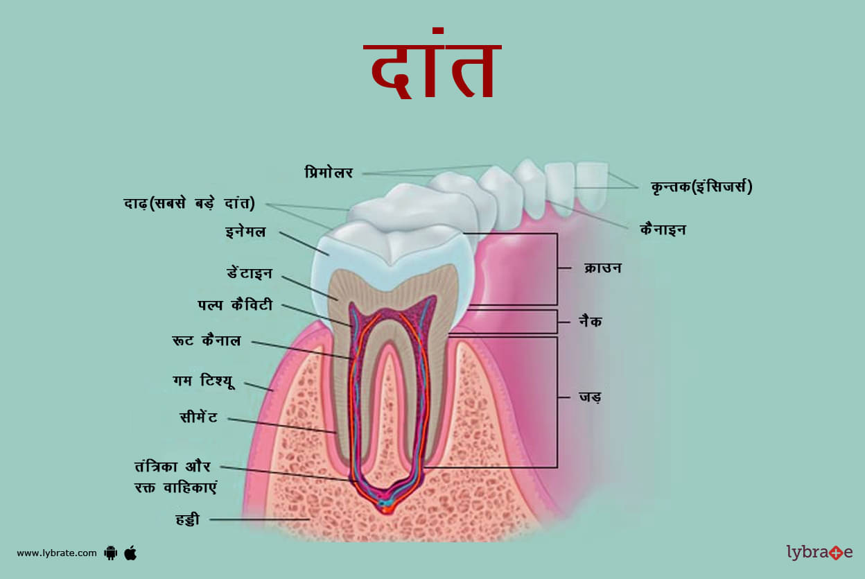 Little Known Ways To Rid Yourself Of Clove Dentistry Dwarka sector 7