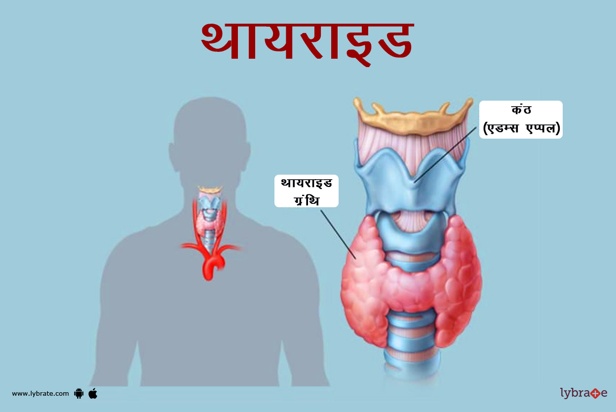 थायरॉइड का चित्र | Thyroid Ki Image