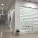 Dr. Anvika.com Image 2