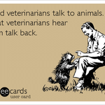 Amulya Pet Specialty Clinic Image 3