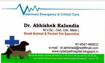 Cornerstone Pet Clinic Image 1