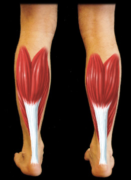 Ortho Neuro Chiropractic Physiotherapy Clinic Image 3