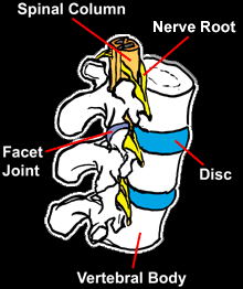 Ortho Neuro Chiropractic Physiotherapy Clinic Image 9