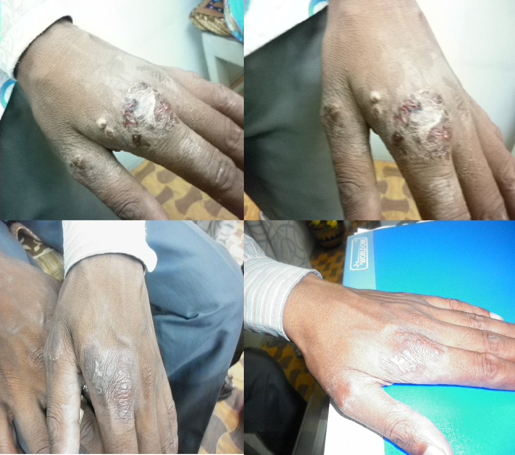 Naina Homoeo Care Image 2