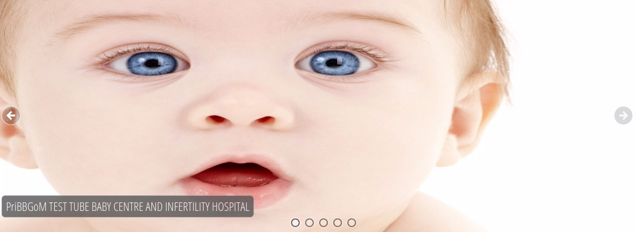 Pribbgom Test Tube Baby Center & Infertility Hospital Image 4