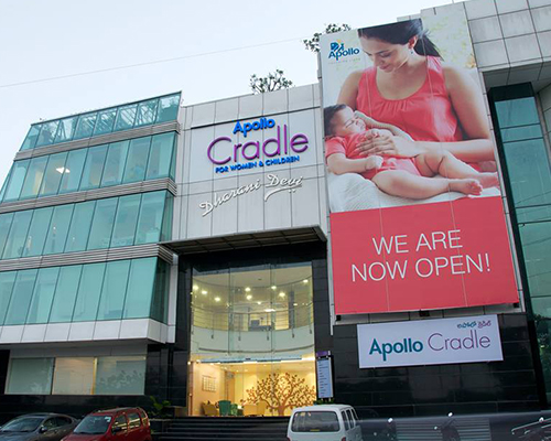 Apollo Cradle Image 1
