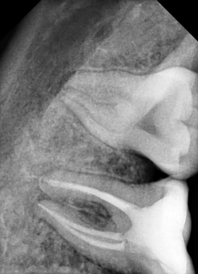 S.K Dental Care Image 7