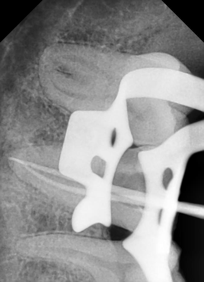 S.K Dental Care Image 6