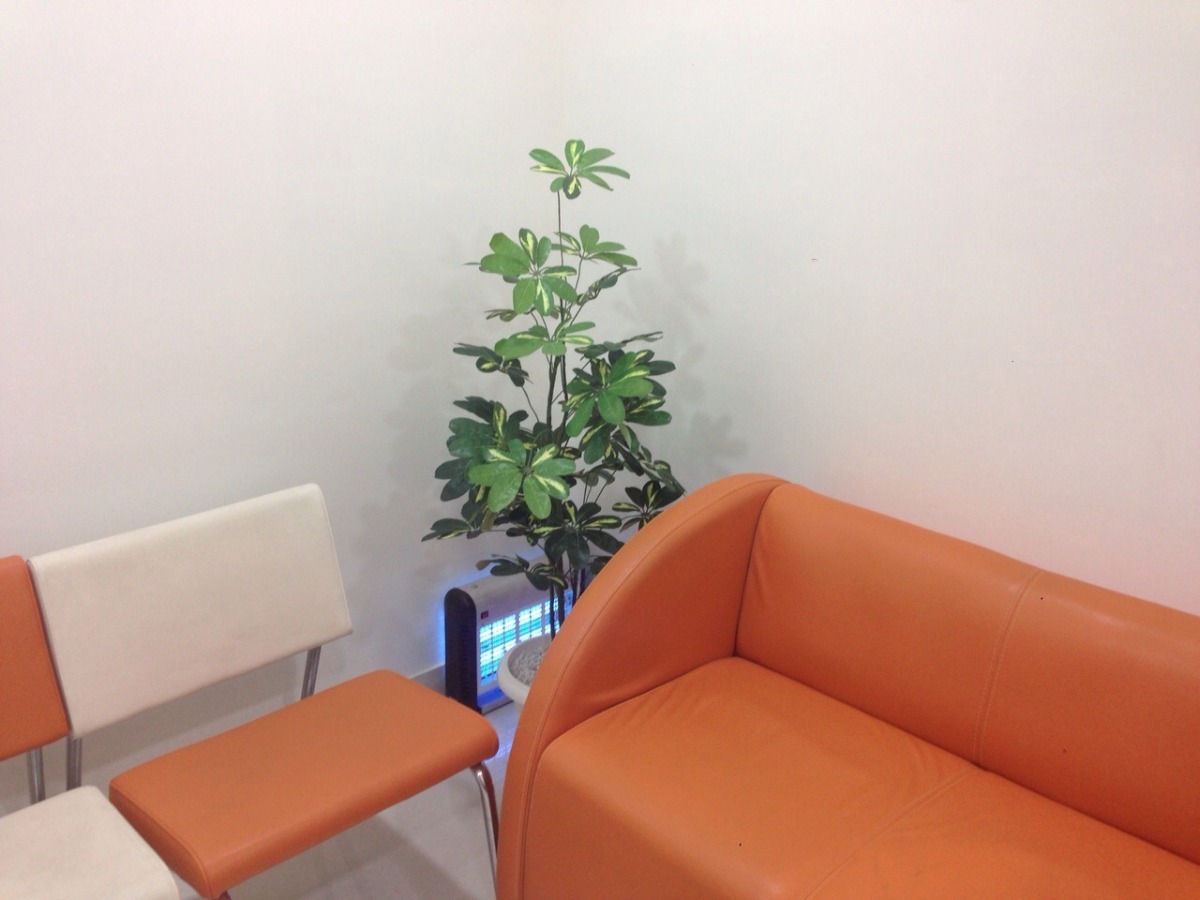 Centre For Spine and Rheumatology - Janakpuri Image 5