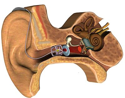 Pulse Clinic Image 4
