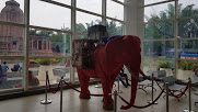 Amri Hospital - Bhubaneswar Image 4