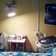 Rajashri Grandhim Hospitals Image 1