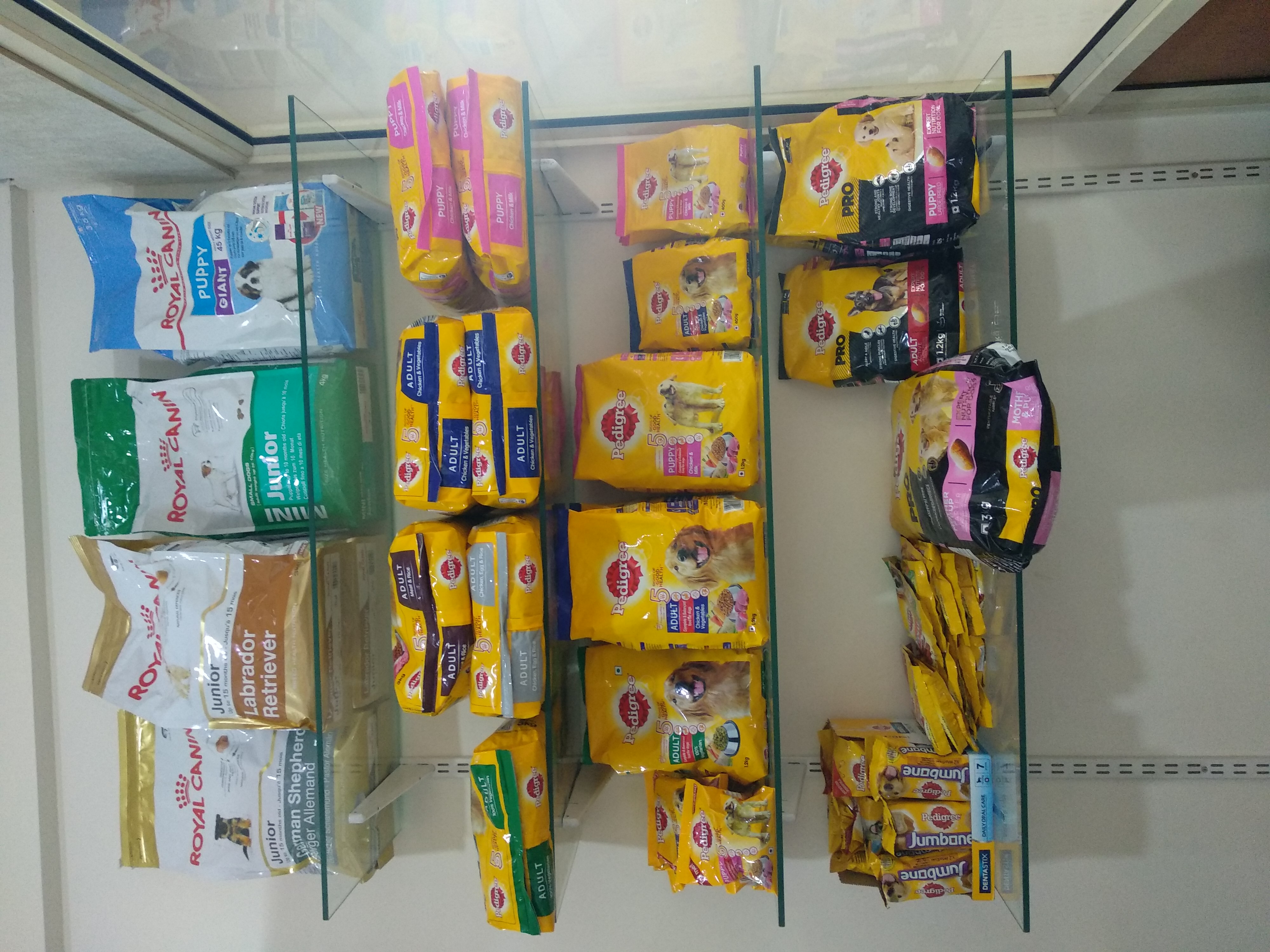 Dr.C.M.'s Pet Clinic Image 4