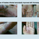 Bhaktii Group of Homeopathy Dispensary Image 7
