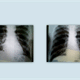 Bhaktii Group of Homeopathy Dispensary Image 4