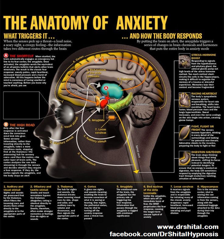 Dr. Shital Shah's Hypnotherapy and Homoeopathy Clinic Image 4
