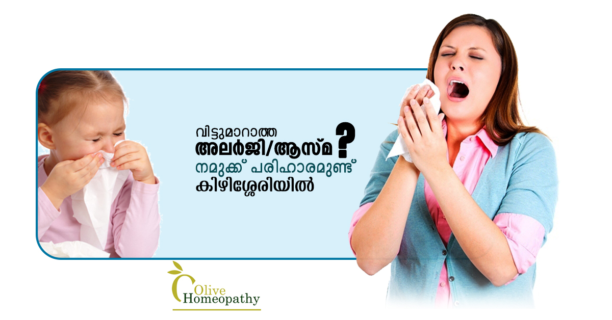 Olive Homeopathy Clinic Image 7