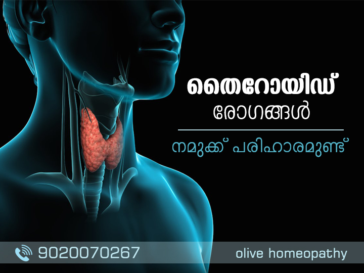 Olive Homeopathy Clinic Image 10