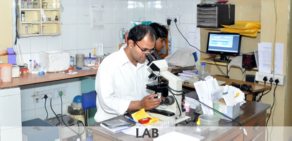 Kinker Laparoscopy And IVF Hospital Image 5