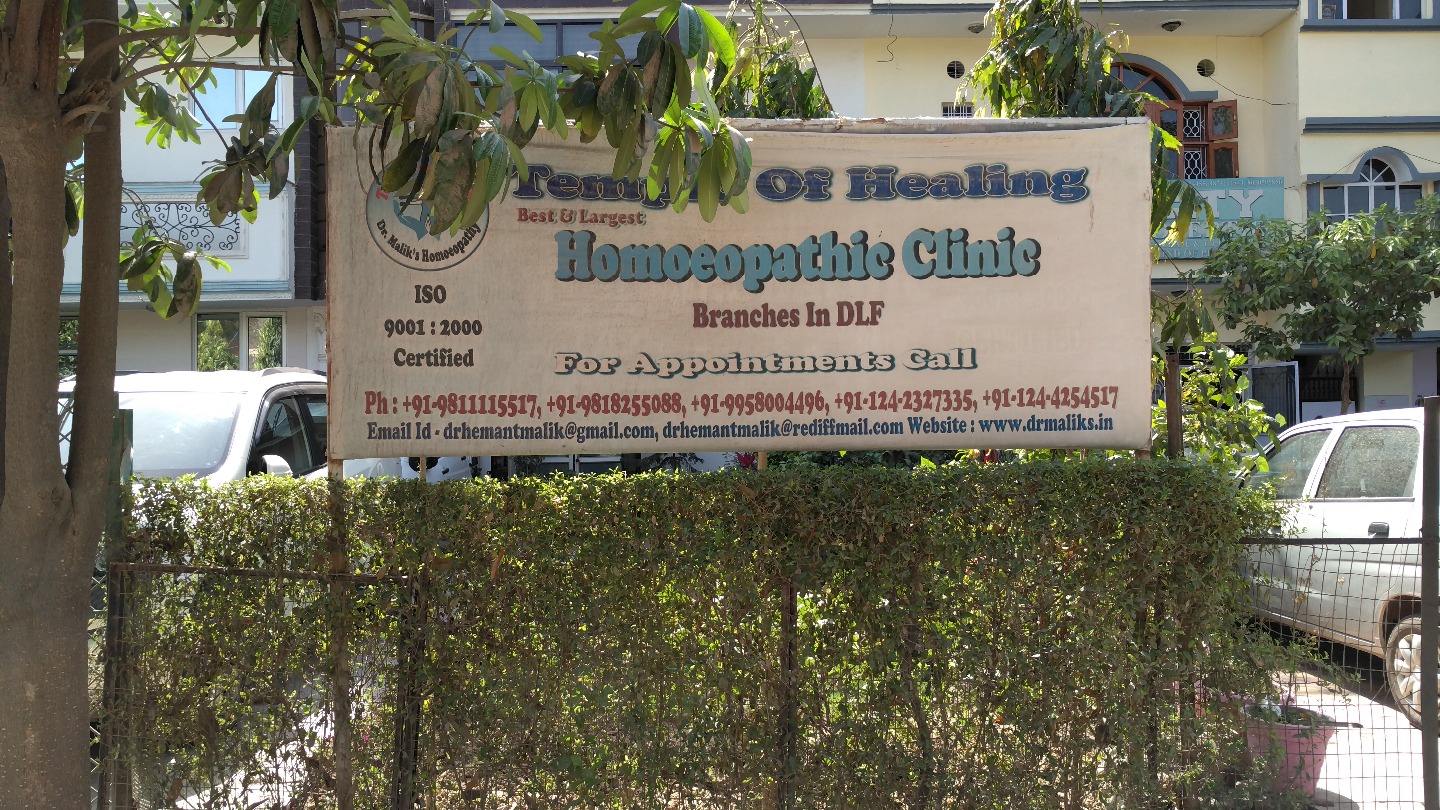Temple Of Healing Homoeopathic Clinic, Gurgaon Image 2