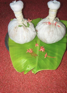 Daljit Kaur Memoria Ayurvedic Clinic & Panchkarma Center Image 2