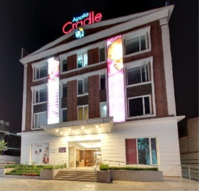 Apollo Cradle Image 2