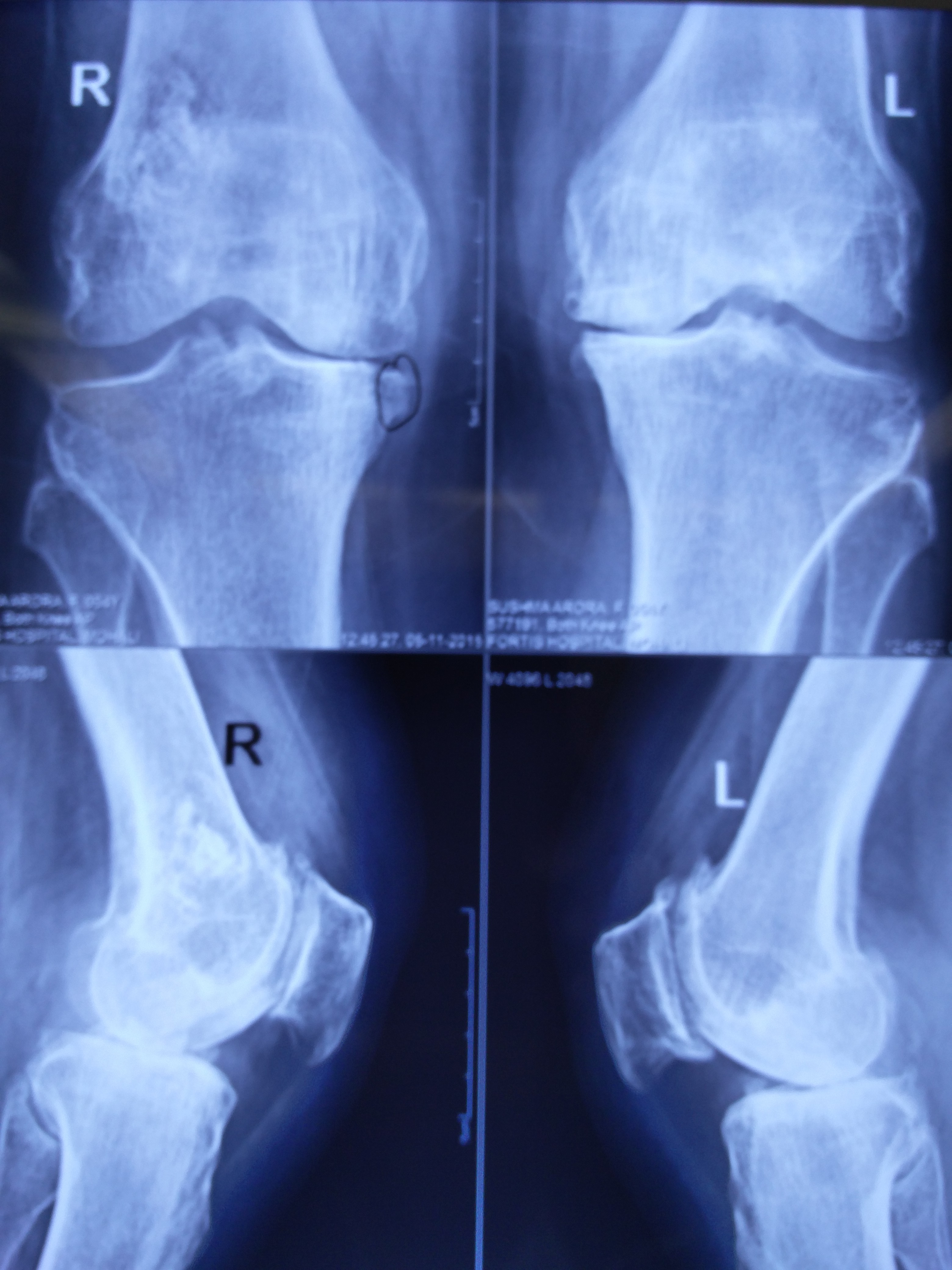 Orthozone Bone & Joint Center Image 2