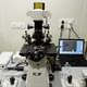 Wellspring IVF & Women's hospital Image 1