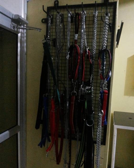 Rana's Pet Clinic Image 2