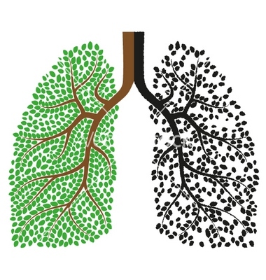 Chest and Sleep Care Clinic Image 1