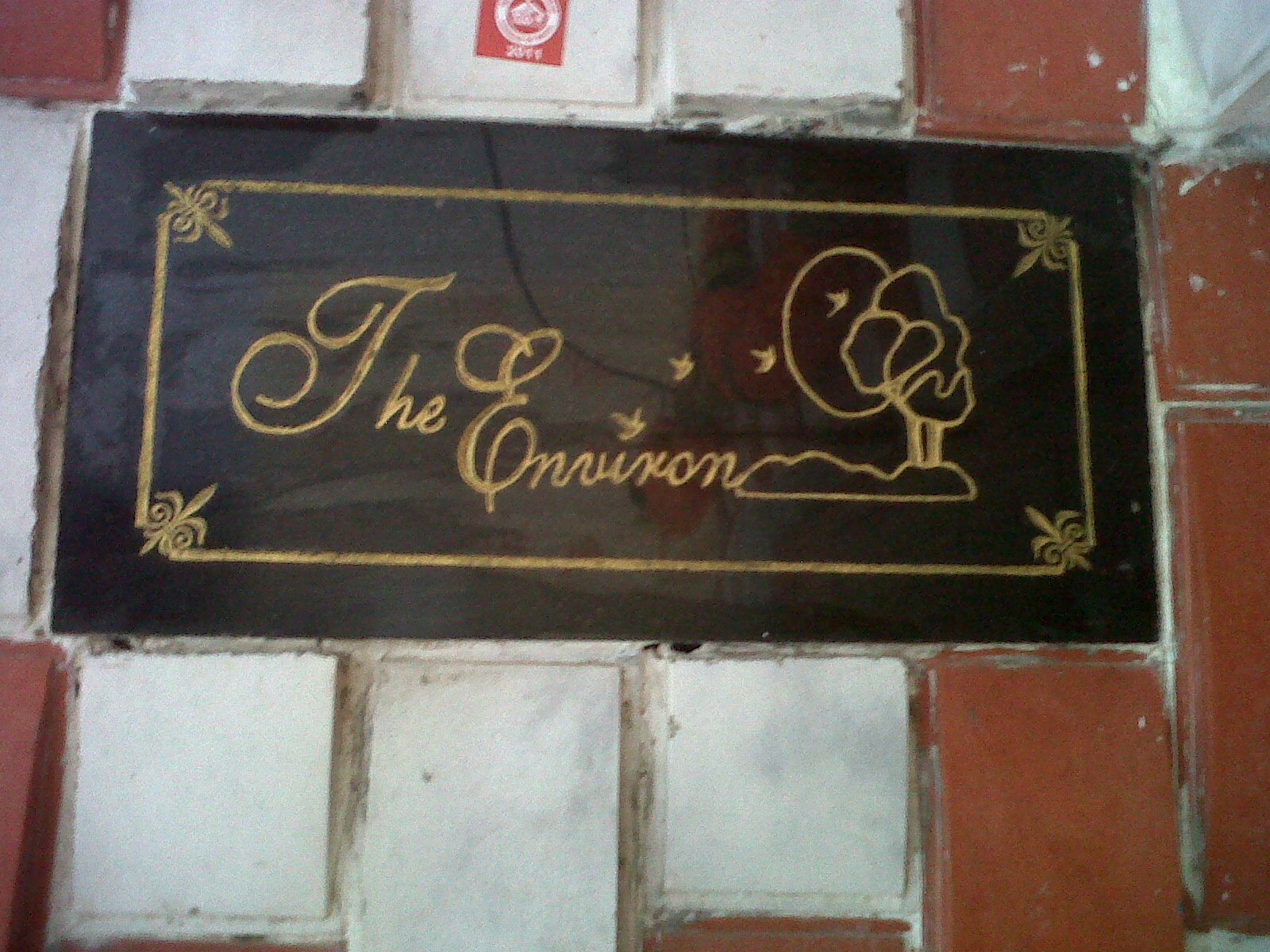 The Environ Clinic Image 6